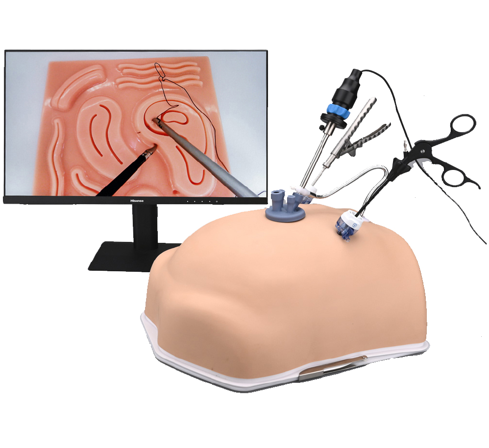 HFM-T1320 Laparoscopic Training Box Belly simulator with skin (No monitor)